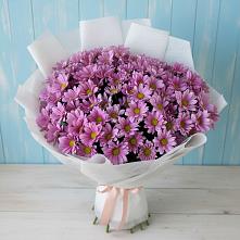 Букет цветов из:  Хризантемы в Белушью Губу