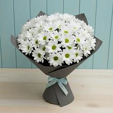 Букет цветов из:  Хризантемы в Белушью Губу