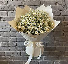 Букет цветов из:  Ромашки в Белушью Губу