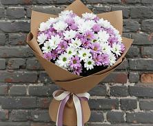 Букет цветов из:  Хризантемы #REPLACE_PRED# Белушью Губу