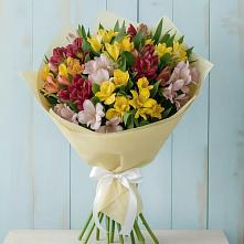 Букет цветов из:  Альстромерии в Белушью Губу