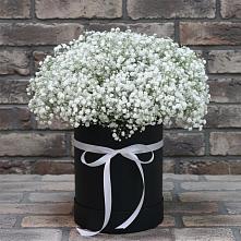 Цветочная композиция из Гипсофила в шляпной коробке #REPLACE_PRED# Белушью Губу