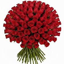 Букет Красные розы Чери Лав в Белушью Губу