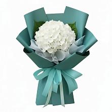 Букет цветов из:  Гортензия в Белушью Губу